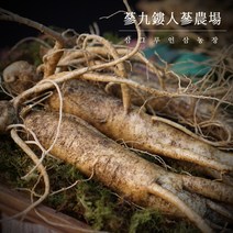 국내산 금산인삼 5년근 6년근 인삼 수삼 750g 무료세척 난발삼 원수삼 선물용 삼계탕용 요리용 인삼주용, 선택5 뿌리많은 인삼 중