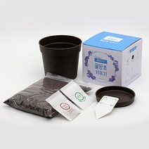 마이리움 물망초 하늘색꽃 물망초꽃 심기 키우기 키트, 1개