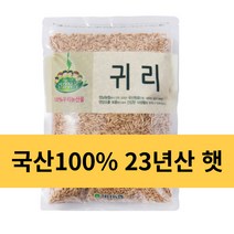 당일발송) 23년산 국산 햇귀리, 1개