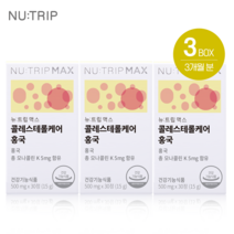 뉴트립 콜레스테롤 케어 홍국 3박스 3개월 혈행 개선 중성지방 낮추는 영양제, 2박스(+24000원)