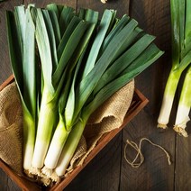 서양대파 릭 leeks 약400g 벨기에, 1개