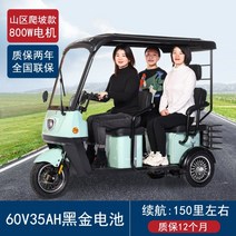 다인승 오토바이 삼륜 전동차 세발 전기 스쿠터 미니 카트 미니 노인 장애인, 60V, 800W 60V 35A 블랙 골드 배터리