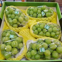 샤인머스켓 1kg 2kg 4kg 가정용 선물용, 1박스, [가정용] 샤인머스캣 1kg (2~3수)