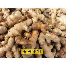 굵고 싱싱한 울금(강황) 종자5kg 10kg 생울금 대중/소, 대중10kg
