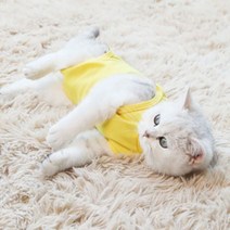 고양이 강아지 중성화복 중성화수술복 환묘옷 환견복, 연핑크_M