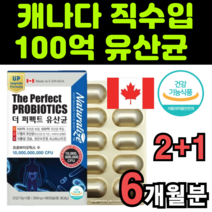 유산균 백억 cfu 신바이오 보장균수 브로바이오틱스 아이 작은 미니 캡슐 중년층 대사산물 유산귤 대용량 고함량 수입산 남노서스 임산부 임삼부 람노시스 루데리 혀소 켑술 컵셀 캅술, 3박스(6개월분)