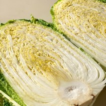 강원도 고랭지 배추 3포기