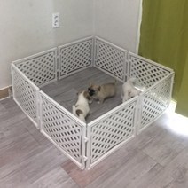 새끼 강아지 울타리 펜스 소형 1개 캠핑, 단일제품