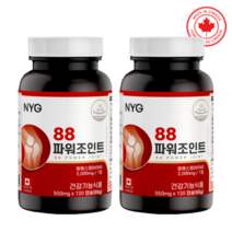 NYG뉴일리 88파워조인트120캡슐 x 2박스(2개월분) 관절 연골 KCI Nutrition Inc. CANADA 믿고 구매할 수 있는 캐나다직수입