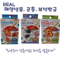 리얼 해양생물 곤충 보석발굴키트, 곤충(나비)