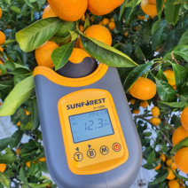 내고향농수산 산지직송 제주 하우스 귤 감귤 가정용 5kg 선물용 3kg 5kg, 5. 가정용 5kg 프리미엄과 45~60과, 1개