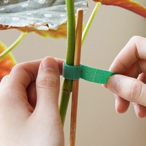 식물 벨크로 타이 고정 끈 오이 호박 고추 꽃 모종 줄기 접목 클립 집게, 10m