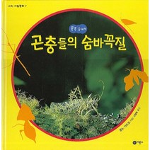 꼭꼭 숨어라 곤충들의 숨바꼭질 양장본, 비룡소