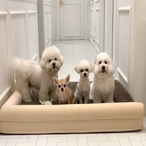 펫투더퓨쳐 메모리폼침대