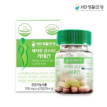 체지방 감소 카테킨 2주분 녹차추출물 체중 허리둘레 감소 복부지방 다이어트 탄수화물 컷팅제 식약처인정 13중복기능성 영양제 종합 비타민 항산화 혈중콜레스테롤 개선도움, 42정, 42개