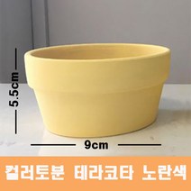 컬러 토분(노란색) 화분 미니토분 다육이 테라코타[지름9cmX높이5.5cm] 수입도매