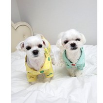 (강아지)짱구 잠시바 봄 여름 가을 잠옷 티셔츠 실내복 외출복, 잠시바-화이트
