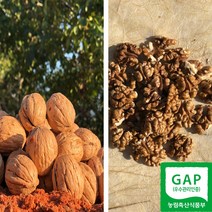 국산 햇 호두 피호두 깐호두 산지직송 GAP인증 100g 500g 1kg, 피호두_대_1kg