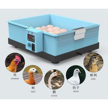 조류 병아리 자동 부화기 계란 오리 68란 온도조절, 32개의 업그레이드된 폼 워터 시트 전기 무음