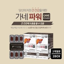 피로한 간에 좋은 프랑스산 원료 간기능 분해 간수치 높을때 낮추는 건강 염려 관리 먹는 영양제 간보호제, 2BOX(2개월분)