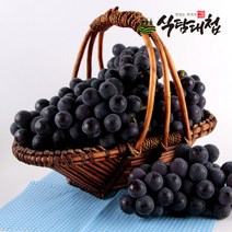 식탐대첩 씨없는 세이블 블랙 포도 1kg 1팩, 단품