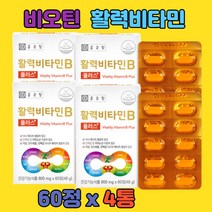 클로렐라 판토텐산 칼슘 비오틴 엽산 함유 활력 비타민