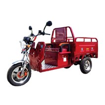 안전한 국산 화물 오토바이 스쿠터 전기충전차 EG-300