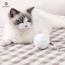 [한정이벤트]LMLL&PP 스마트 전기 토이볼 고양이 장난감, 도넛형