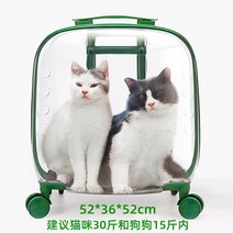 투명 강아지 캐리어 고양이 애견 이동 가방 캐리어, K60 대형