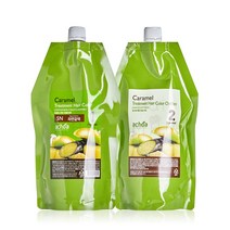 아초아 카라멜 염색 헤어칼라 400ml 새치커버, 9GB(골드브라운)