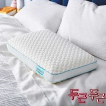 템퍼페딕 세리니티 클라우드 메모리폼 베개 스탠다드 필로우