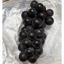 국산 남원 캠벨포도 1kg (2~4수내외) 켐벨 포도 갬밸포도 국산포도 고당도 포도, 1kg(2-4수내외)