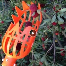 소나무가지치기 고지가위 사과나무전지 세지가위 장대낫 긴낫 사과수확 낫 폴대 갈퀴 일제전지가위 장대톱 고지톱 장대전지가위 과일 선택기 과일 포수 원예 과일 수집 따기 머리 27, 02 화이트