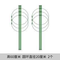거치대 원예가 덩굴에 오르다 가설하다 자 가정용 꽃 받침대 실내 월계화 그린 뤄 쇠사슬이 벋다 엘로 박과 2884802485, 미디엄, 등나무틀 (하이 60 센치 )3봉 3