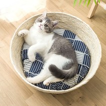 고양이 바스켓 방석포함 고양이용품, 단품