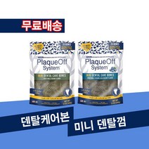 프로덴 플라그오프 덴탈 케어 본 미니 덴탈껌 20p 반려견 구강관리 강아지 치석제거, 혼합야채 미니
