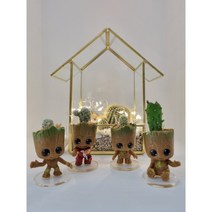 [초록임]작고 귀여운 베이비 미니 선인장 그루트 화분 인테리어 전자파차단 공기정화 기분전환 키우기 쉬운 반려식물, 1.앵그리 그루트