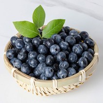 생 블루베리 1.5kg (125g x12팩), 단품
