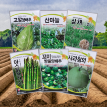 궁채 나물 상추 줄기 씨앗 종자, 꼬미방울양배추