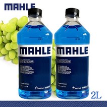 아인스타 말레 MAHLE 에탄올 워셔액 2L 청포도향 사계절 자동차 차량용, 1개