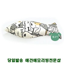 닥스훈트 혼자있는강아지 애견쇼핑몰 강아지놀아주는법