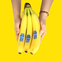 바나나한송이가격 브랜드의 베스트셀러 상품을 확인하세요