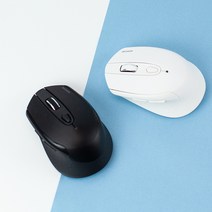 로이체 블루투스 겸용 무소음 무선 옵티컬 마우스 RX-560 DUAL, RX-560 블랙
