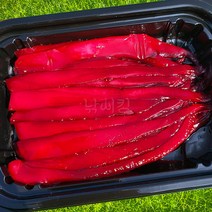 낚시킹 띠용 오징어 미끼 2. 울트라레드 염장 선상 열기 우럭 원투 장어 타이라바 양어장 좌대 대물, 2. 울트라 레드, 1개