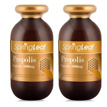스프링리프 프로폴리스 Propolis 2000mg 365캡슐 2개