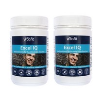 VITAFIT EXCEL IQ HEALTHY BRAIN 비타핏 헬씨 브레인 은행잎 추출물 함유 엑셀 아이큐 90캡슐 2개, 90정