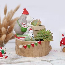 ROOGO 루고 화분 고슴도치의 크리스마스 이사를 해요