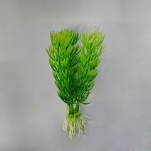 수족관 장식용 조화 인조수초 붕어마름 마츠모, 1개
