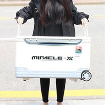 대용량 이동식 휠 아이스박스 백 캠핑 아이스 쿨러 보냉 미니 박스 쿨링백 가방 보온 여행용 ghkdtkdgns08*6104960Ic, 본상품선택