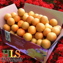 한라산농장 황금향 10KG 5KG 농장직송 -불만시 무료반품-, 황금향 5KG 중대과(15~20과수)